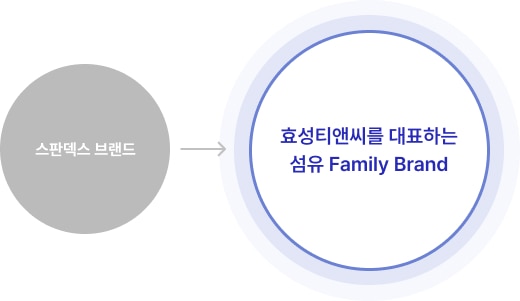 스판덱스 브랜드 -> 효성티앤씨를 대표하는 섬유 Family Brand