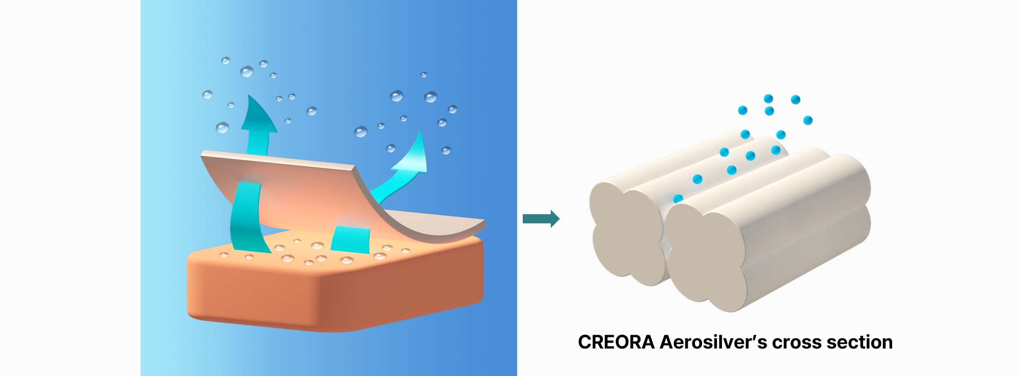 CREORA Aerosilver   