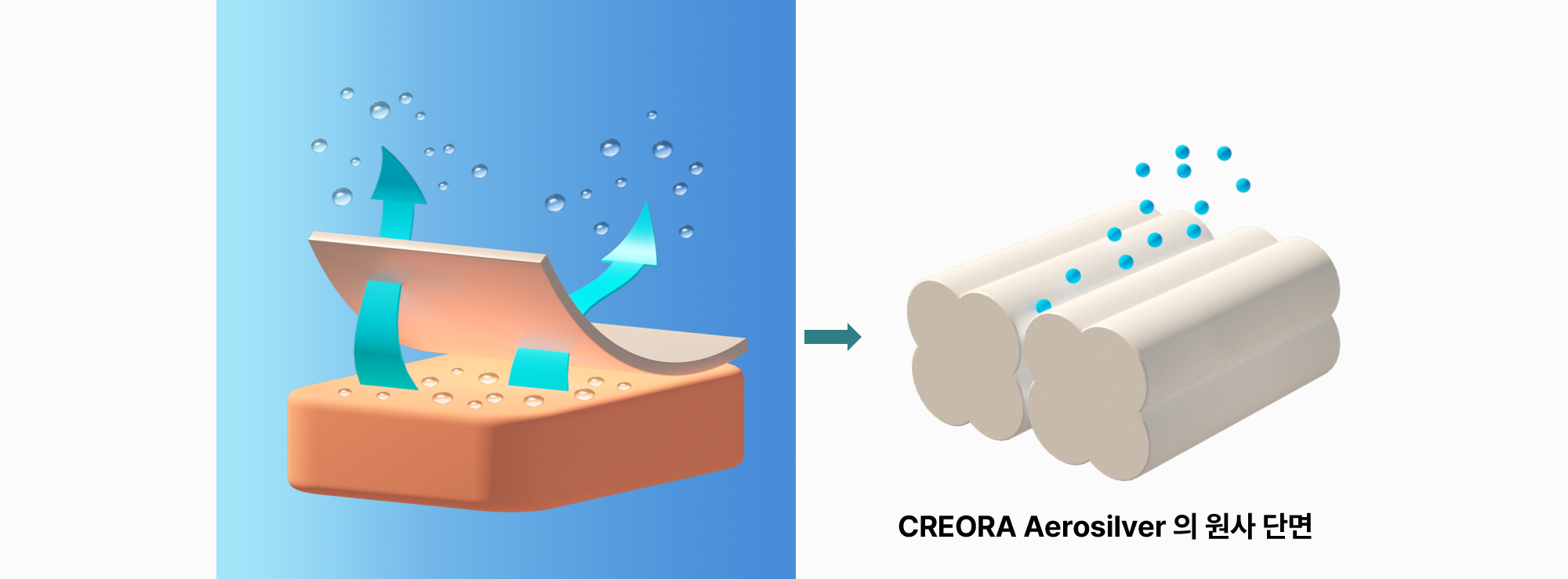 CREORA Aerosilver 